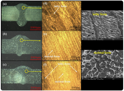 PREN�͵�ʴ����������