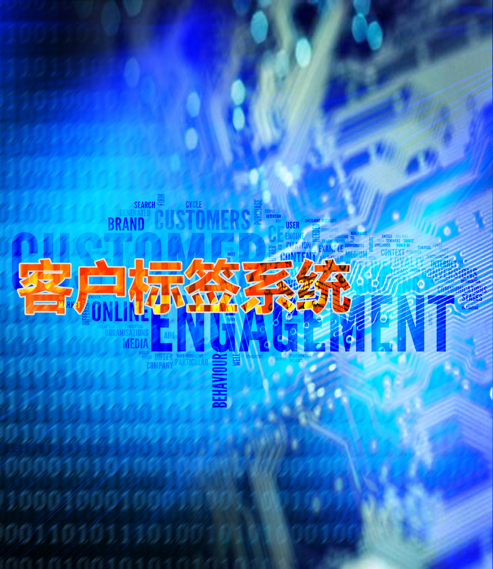 �ͻ���ǩϵͳ